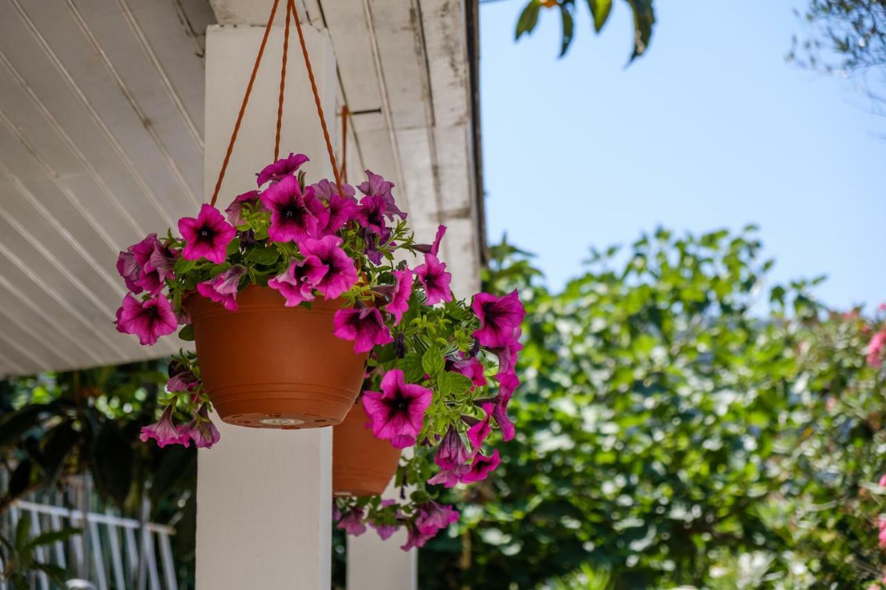 Cuore Di Milka Apartments Veli Lošinj Extérieur photo
